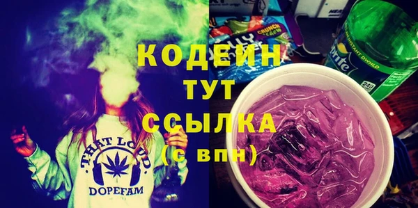 ПСИЛОЦИБИНОВЫЕ ГРИБЫ Арсеньев