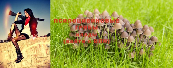 каннабис Аркадак